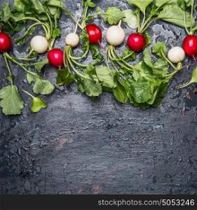 Red and white radishes with green haulm leaves on dark rustic background, top view, place for text, border.