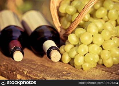 Red and white wine bottles and bunch of grapes in basket on wooden table. Retro toned image