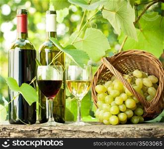 Red and white wine bottles, two glasses and bunch of grapes on old wooden table against vineyard