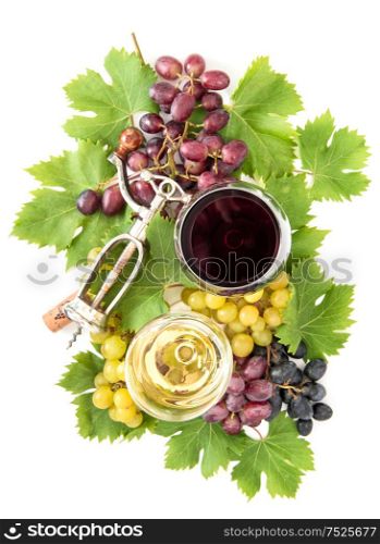 Red and white wine glasses with grape vine and green leaves. Autumn composition