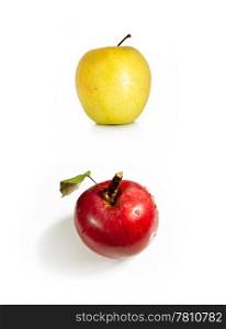 red and yellow apples on white background