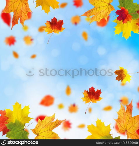 Red and yellow leaves against a bright blue sky. Bokeh effect.