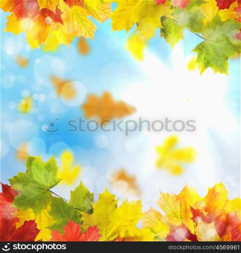 Red and yellow leaves against a bright blue sky. Bokeh effect.