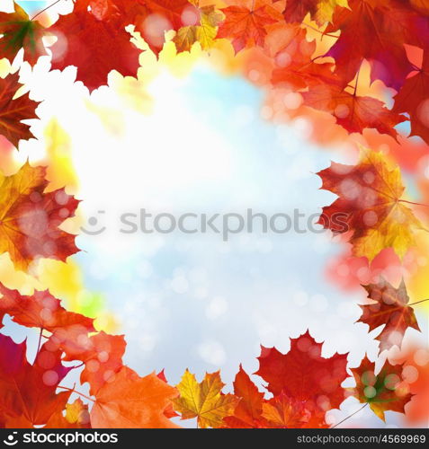 Red and yellow leaves against a bright blue sky. Bokeh effect.