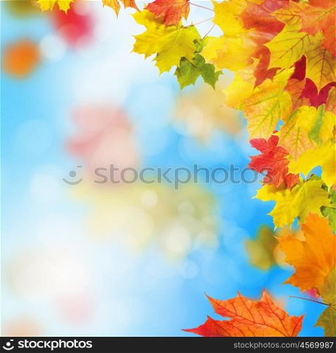Red and yellow leaves against a bright blue sky. Bokeh effect.