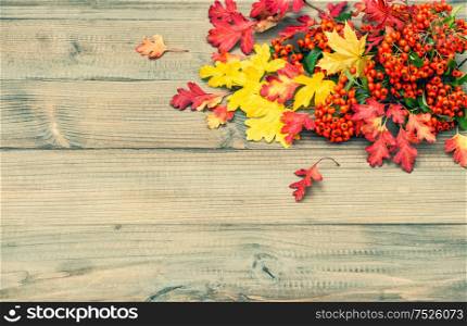 Red and yellow leaves on rustic wooden texture. Autumn background. Vintage toned picture