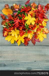 Red and yellow leaves on wooden texture. Autumn background