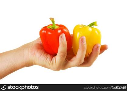 red and yellow peppers in hand solated on white background