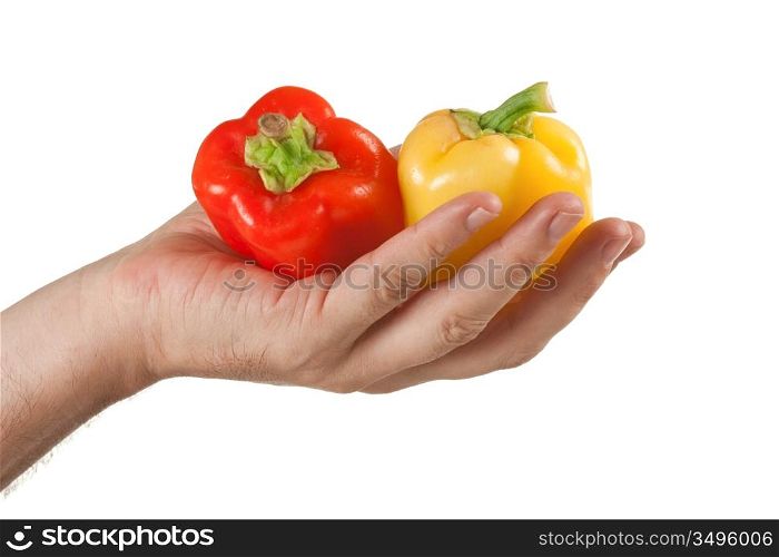 red and yellow peppers in hand solated on white background