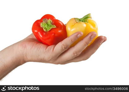 red and yellow peppers in hand solated on white background