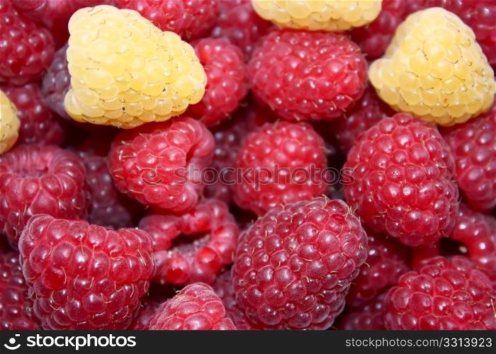 red and yellow raspberries, background