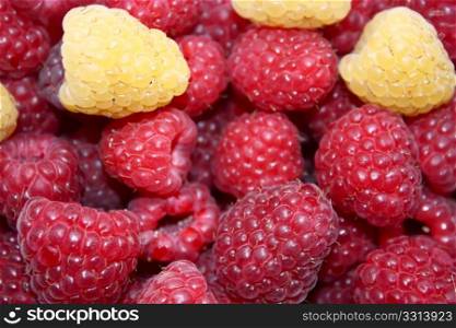 red and yellow raspberries, background
