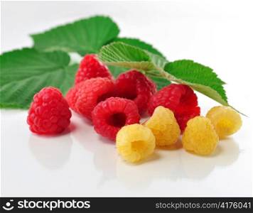 red and yellow raspberries , close up