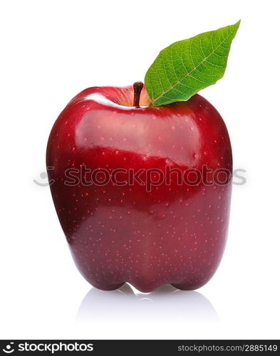 Red Apple isolated on white background