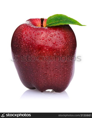 Red Apple isolated on white background