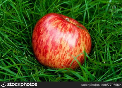 red apple lying on green grass