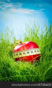 Red apple on the green grass