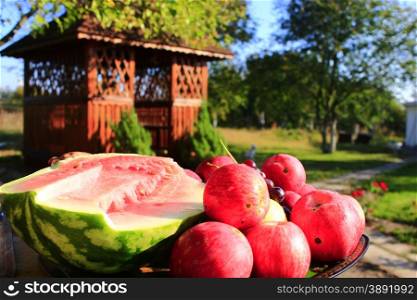 red apples and cut water-melon on the arbor background. harvest of red apples and cut water-melon on the arbor background