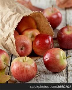 Red Apples In A Paper Bag