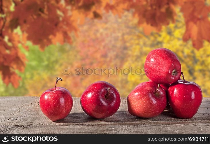 Red apples on a wooden table. Autumn forest in the background. Blurred background.