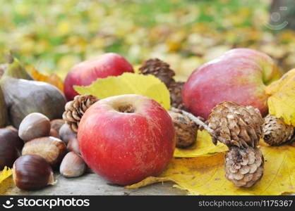 red apples with autumnal fruits among yellow leaves in garden