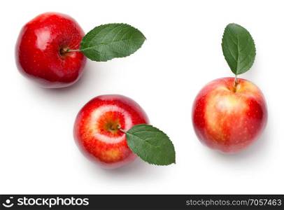 Red apples with leaves isolated on white background. Gala apple. Top view
