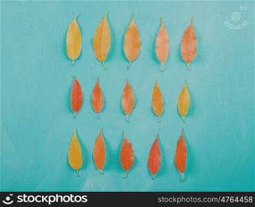Red Autumn Leaves On Turquoise Wood Table