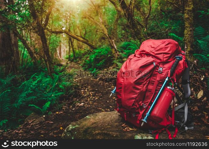Red backpack and hiking gear set placed on rock in rainforest of Tasmania, Australia. Trekking and camping adventure.