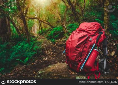 Red backpack and hiking gear set placed on rock in rainforest of Tasmania, Australia. Trekking and camping adventure.