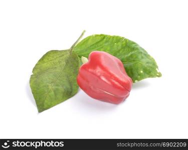 Red ball pepper on white