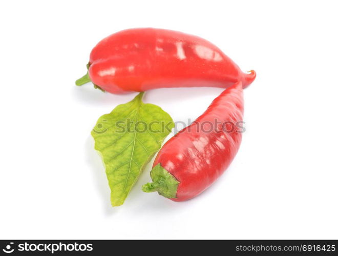 Red ball pepper on white