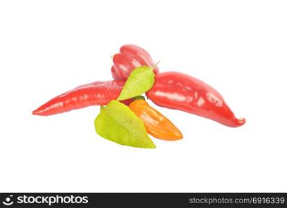 Red ball peppers with leaves isolated