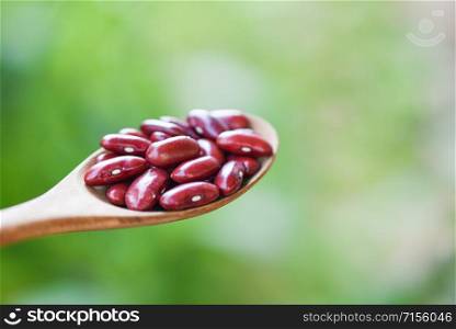 Red bean in wooden spoon on nature background / Grains red kidney beans