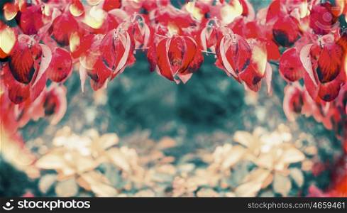 Red Beautiful fall leaves, autumn nature background, banner, border