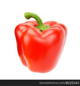 red bell pepper isolated on a white background