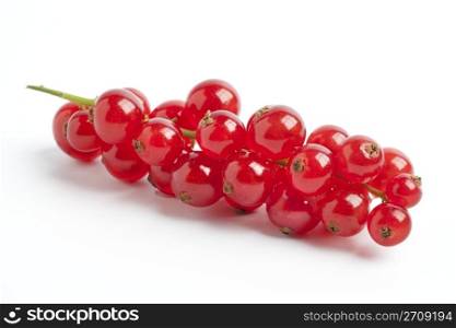 Red berries