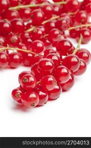 Red berries or red currants