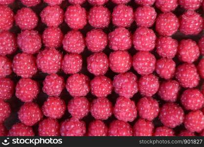 red berry raspberries, selected berries laid out in a row, fruit background