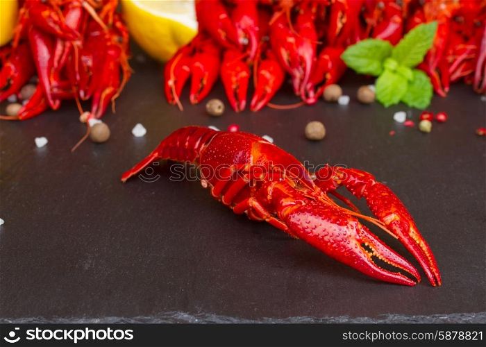 red boiled Crayfish on black board with spices, lemon and mint leaves