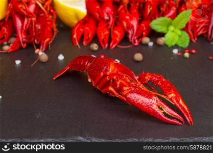 red boiled Crayfish on black board with spices, lemon and mint leaves