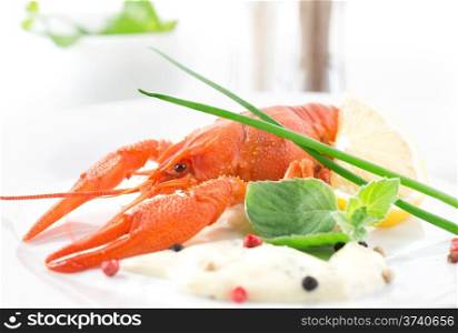Red boiled crayfish with sauce and herbs