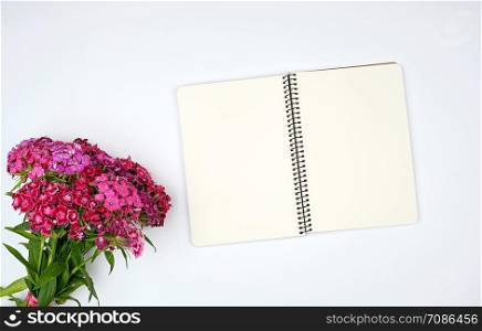 red buds of a blooming Turkish carnation on a white background and an open notebook with blank white pages, top view, flat lay