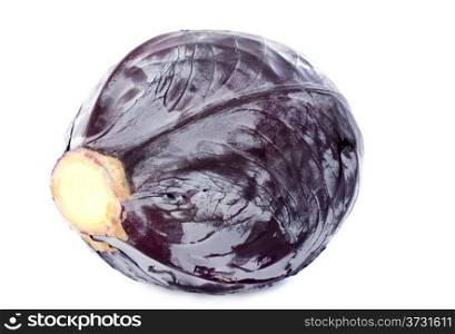 Red cabbage in front of white background
