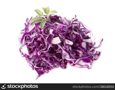 red cabbage in front of white background