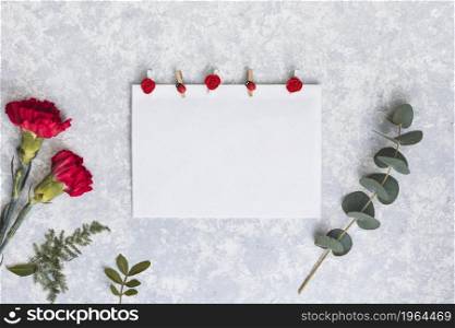 red carnation flowers with paper table. High resolution photo. red carnation flowers with paper table. High quality photo