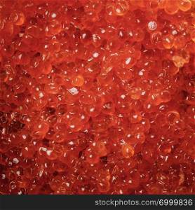 Red caviar background. Gourmet food