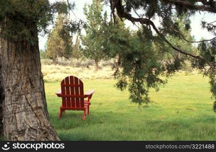 Red Chair in the Grass