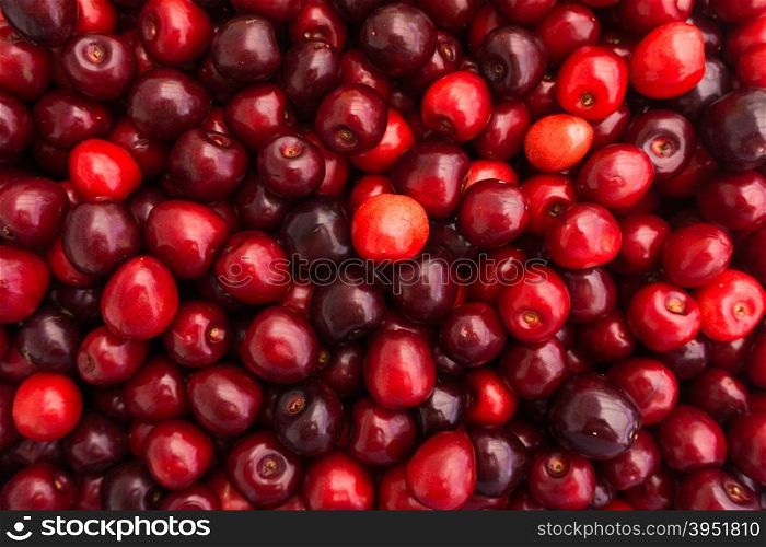 Red Cherries. Cherry selection