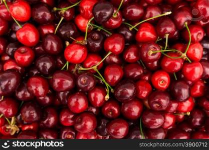Red Cherries. Cherry selection. Background of ripe cherries