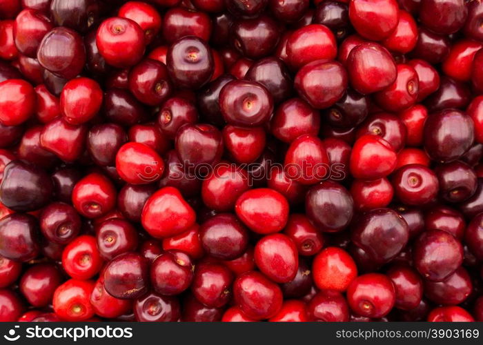 Red Cherries. Cherry selection. Background of ripe cherries